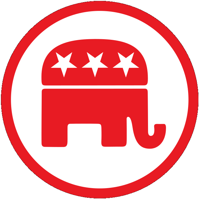 wild elephants