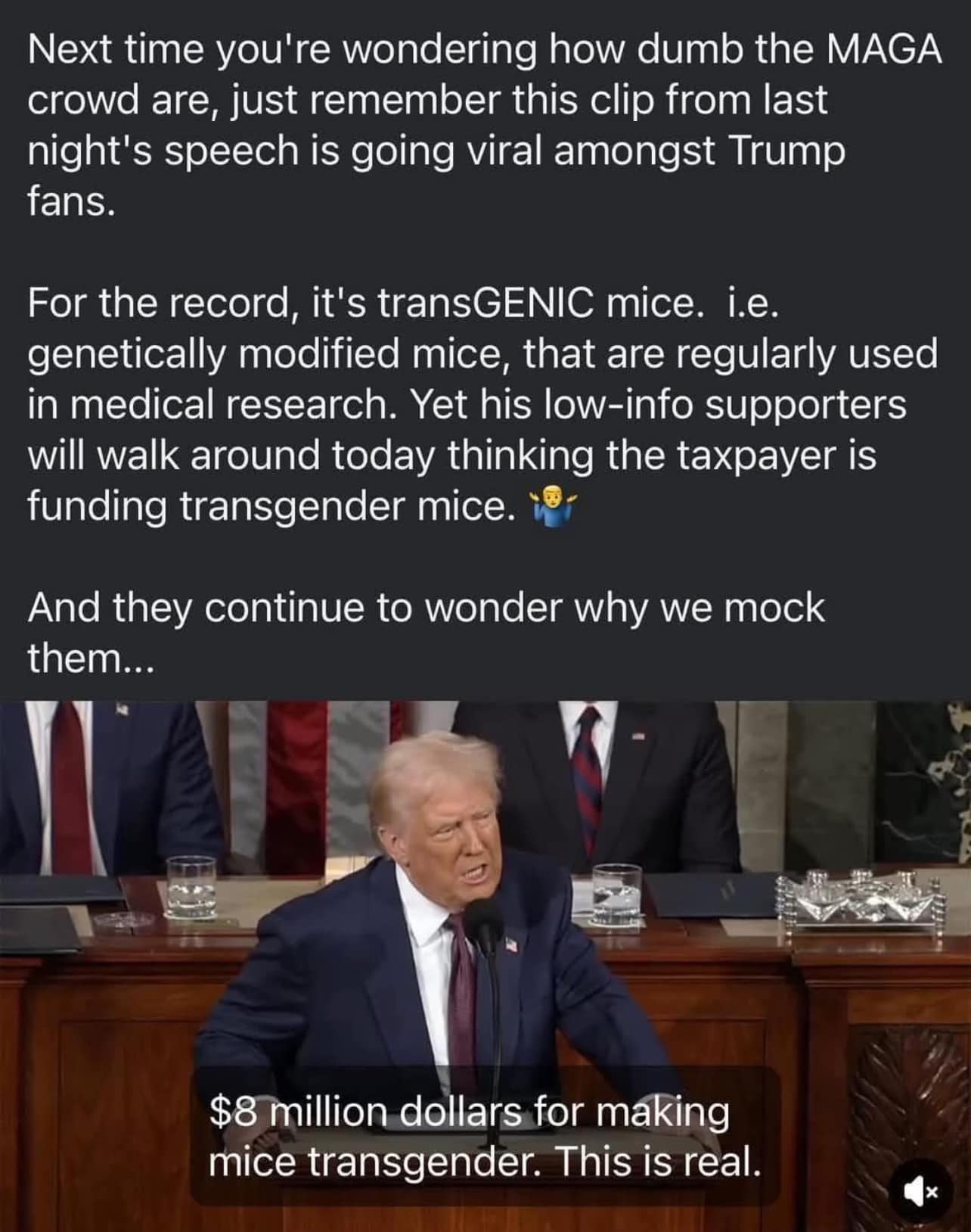 transgender mice